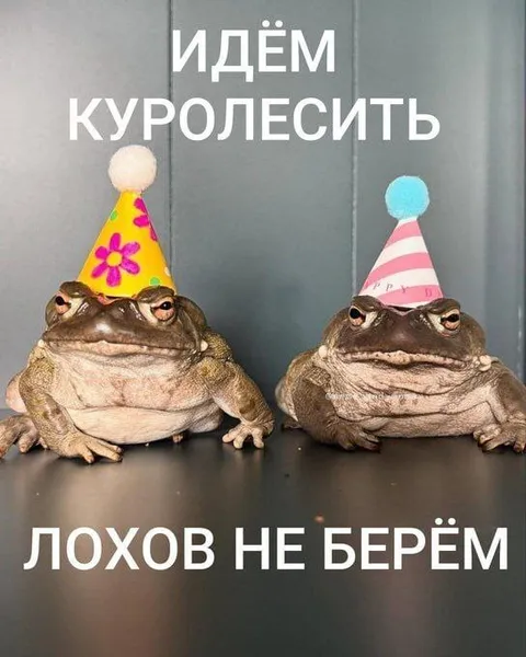 Идём куролесить, лохов не берём