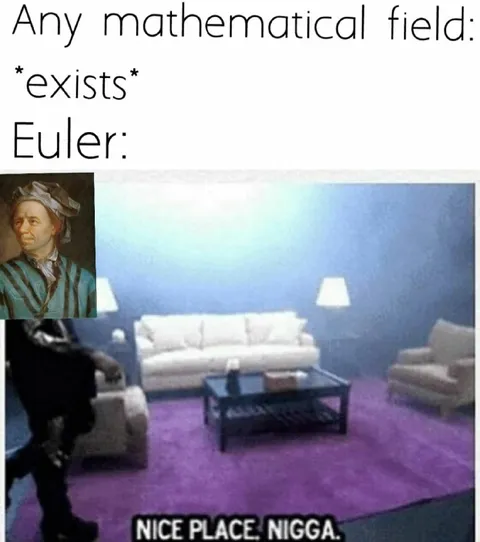 Euler Finds a Nice Mathematical Field