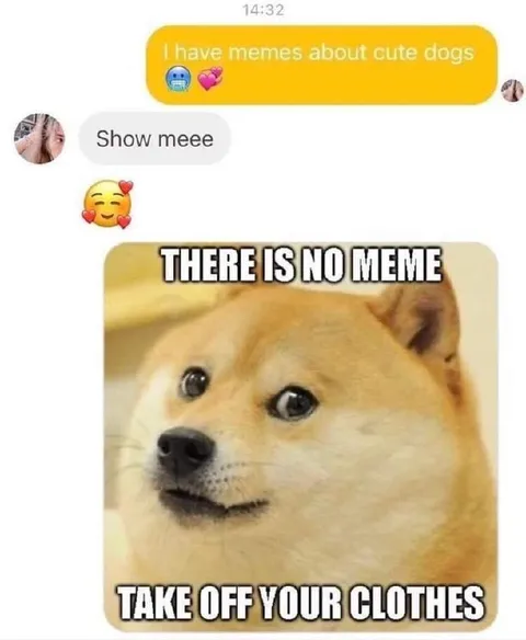 There Is No Meme Doge