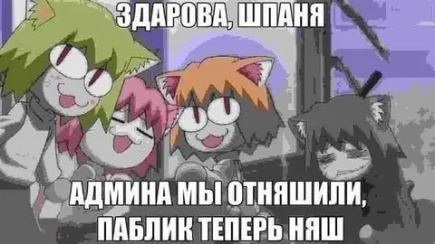 Здарова, шпаня