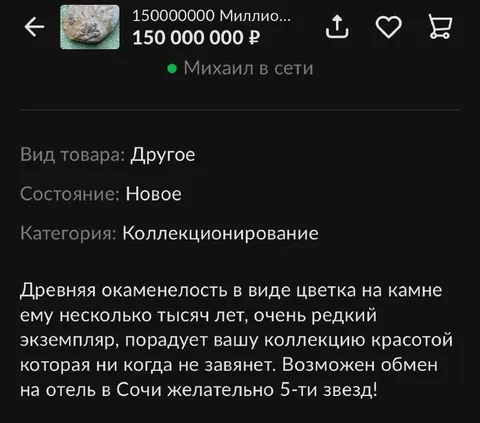 Окаменелый цветок за 150 миллионов
