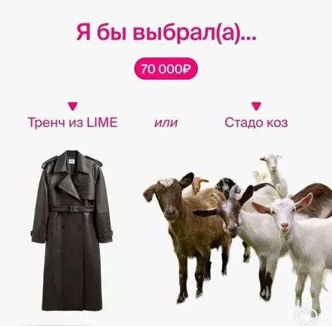 Тренч или стадо коз