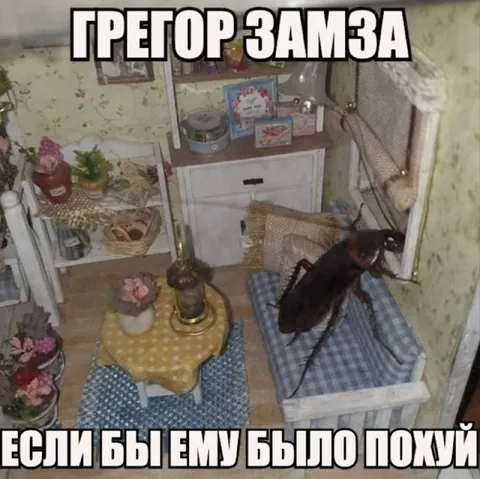 Грегор Замза и полное безразличие