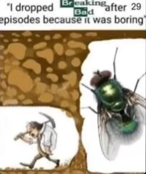 Dropped Breaking Bad After 29 Episodes