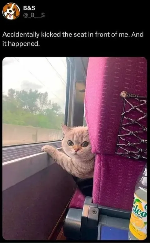 Accidentally Kicked the Seat