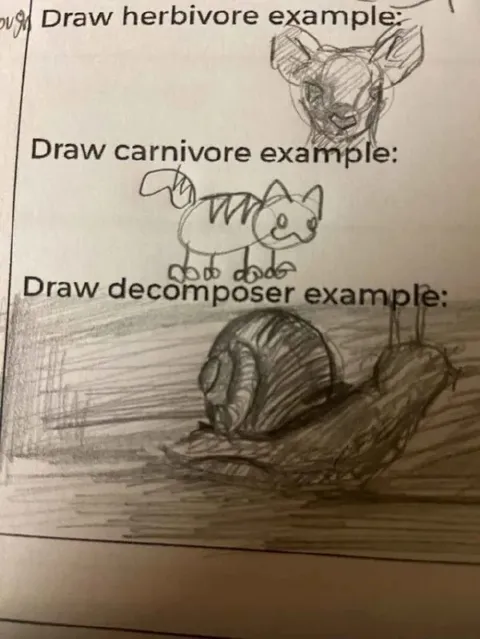 Draw a decomposer example