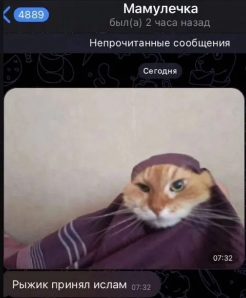 Рыжик принял ислам