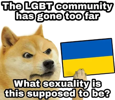Doge Questions LGBT Sexuality