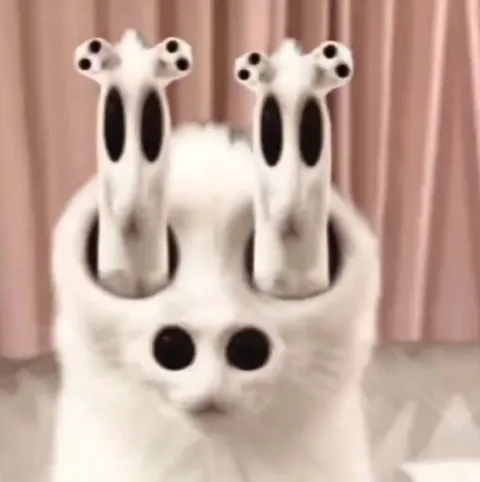 Кот с глазами на усиках