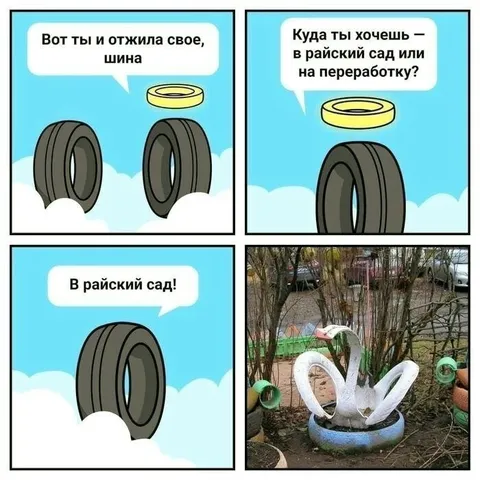 Шина попала в райский сад