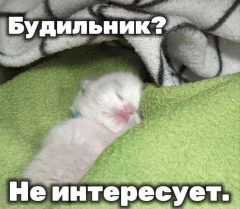 Будильник не интересует