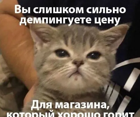 Слишком сильно демпингуете цену