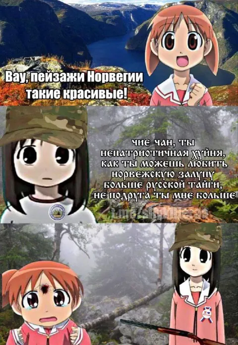 Пейзажи Норвегии и русская тайга