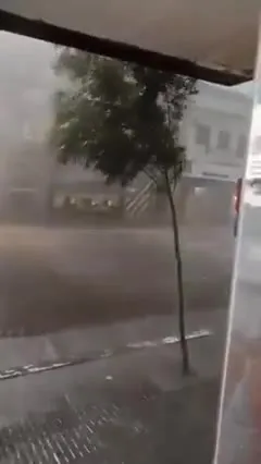 Птица переживает ураган