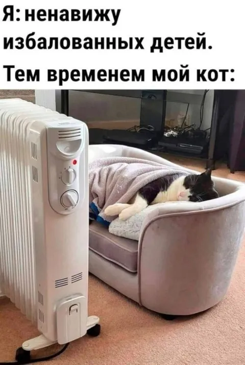 Избалованный кот у обогревателя