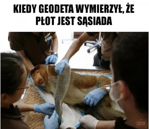 Geodeta zmierzył płot sąsiada