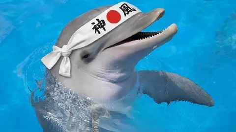 神風ドルフィン