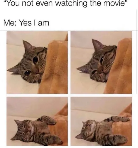Cat Pretending to Watch the Movie