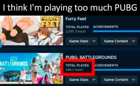 Playing Too Much PUBG