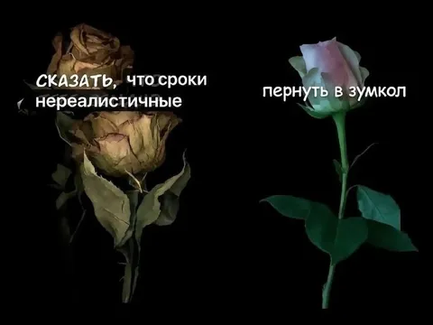 Сказать о нереалистичных сроках