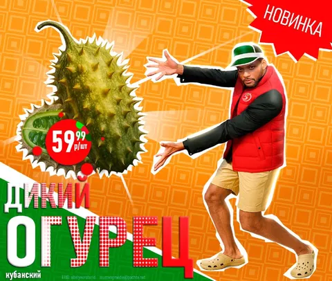 Дикий огурец — новинка