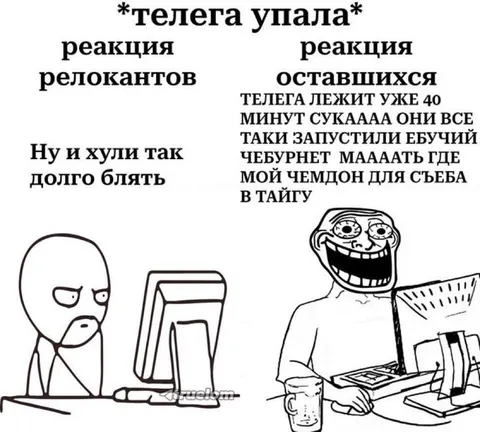 Телега упала: реакции пользователей