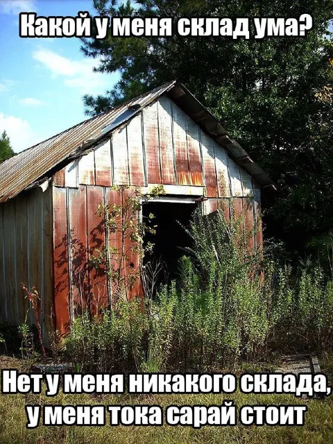 Склад ума — сарай
