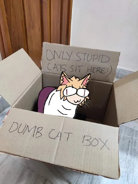 Only Stupid Cats Sit Here