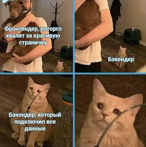 Фронтендер и грустный бэкендер