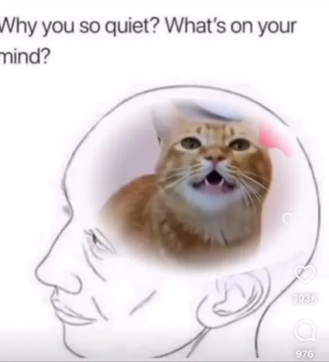 Cat Has a Song in Its Head