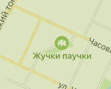 Жучки паучки на карте