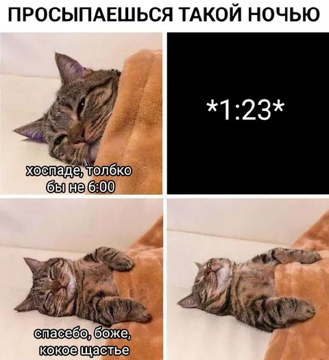 Кот проснулся в 1:23