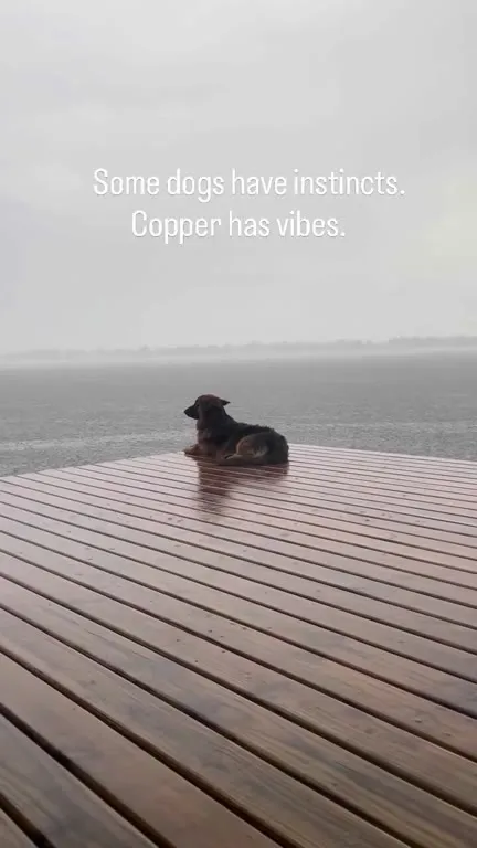 Copper Has Vibes
