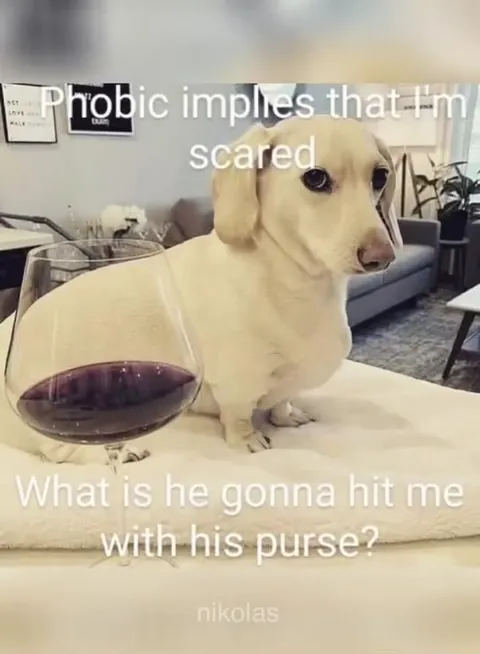 Dog Says It’s Not Apologizing