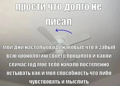 Прости, что долго не писал