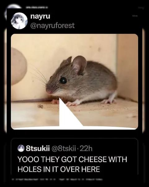 Mouse Discovers Holey Cheese