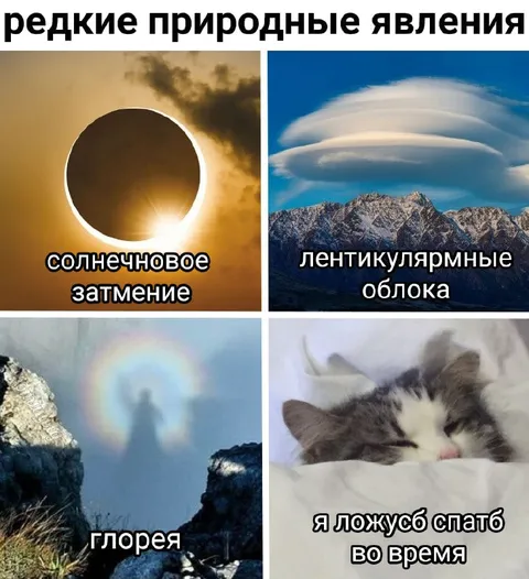 Редкие природные явления по версии кота