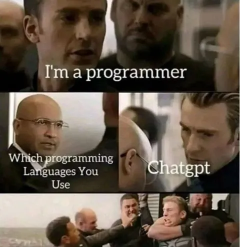 Programmer Uses ChatGPT