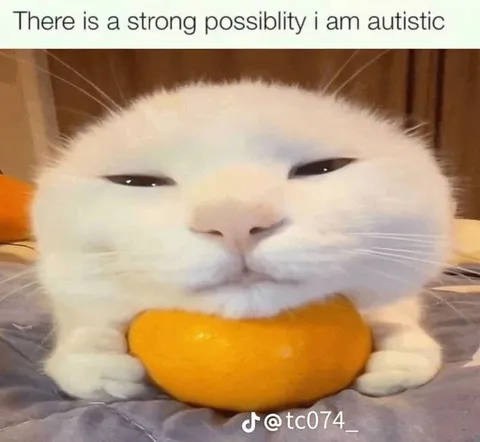 Strong Possibility I Am Autistic Cat