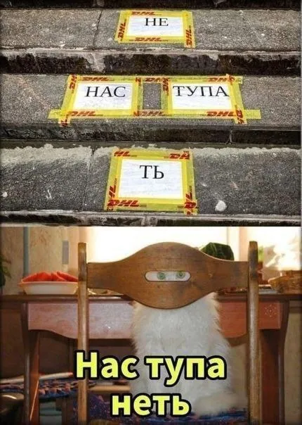 Нас тупа нетЬ