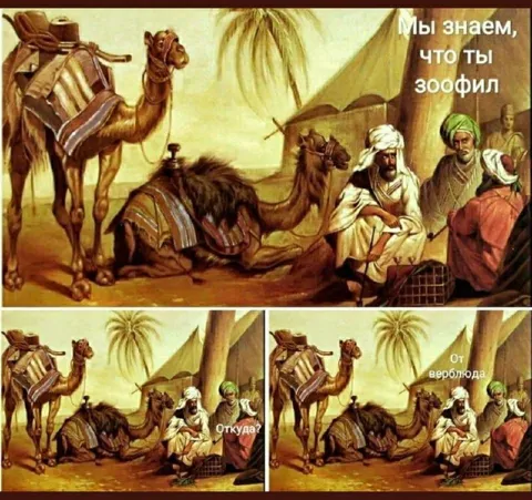Мы знаем, что ты зоофил