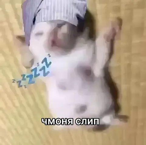 Чмоня крепко спит