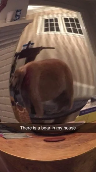 There Is a Bear in My House