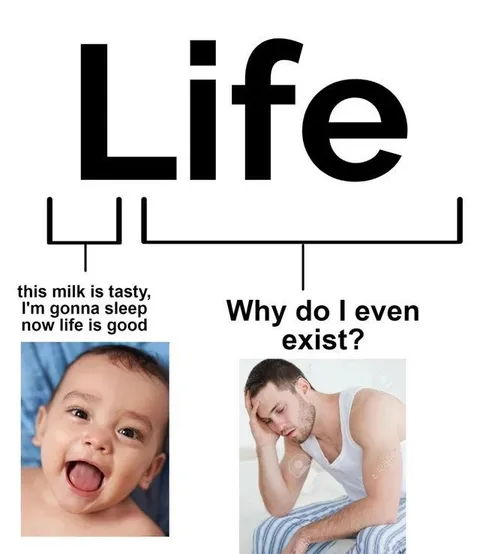 Baby and Adult Life