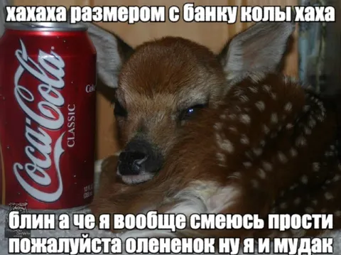 Оленёнок размером с банку колы