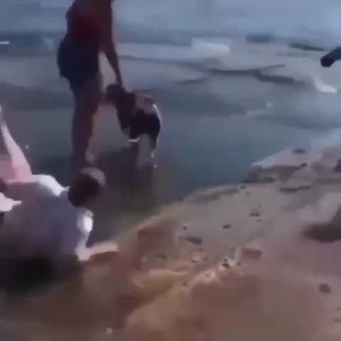 Предложение на берегу моря