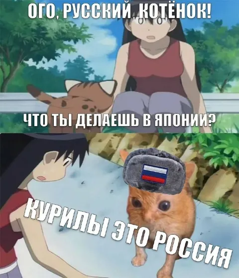 Русский котёнок в Японии