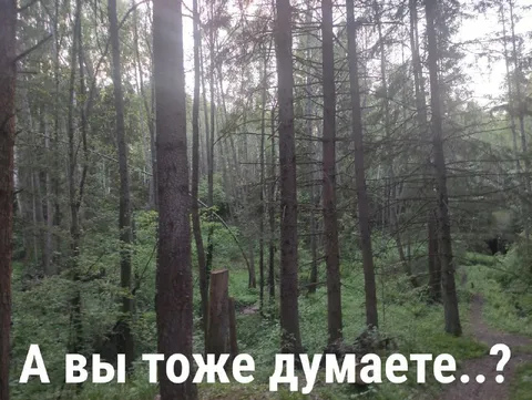 А вы тоже думаете..?