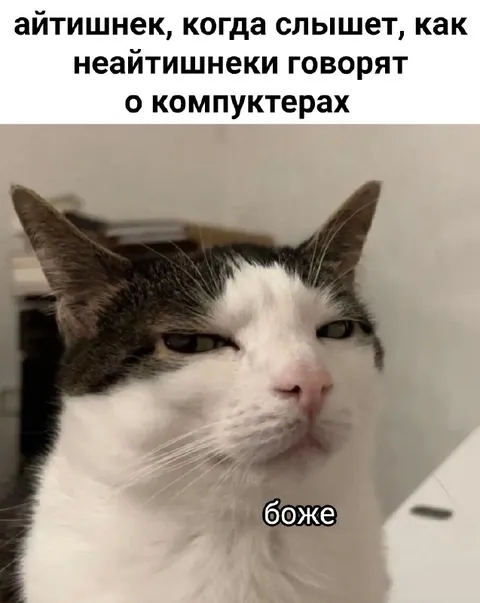 Айтишник слушает неайтишников