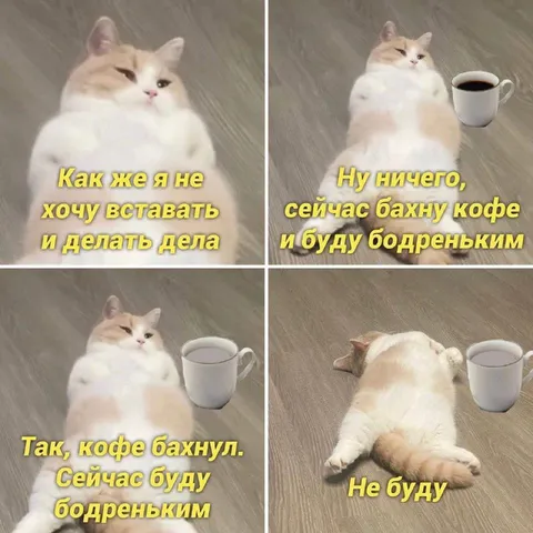 Кот выпил кофе и не взбодрился